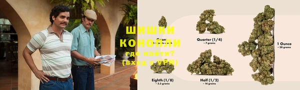 стаф Кинешма