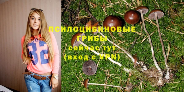 прущая мука Карталы