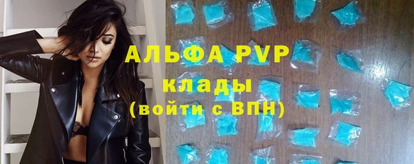 стаф Кинешма