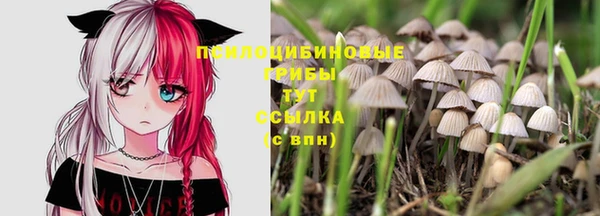 стаф Кинешма